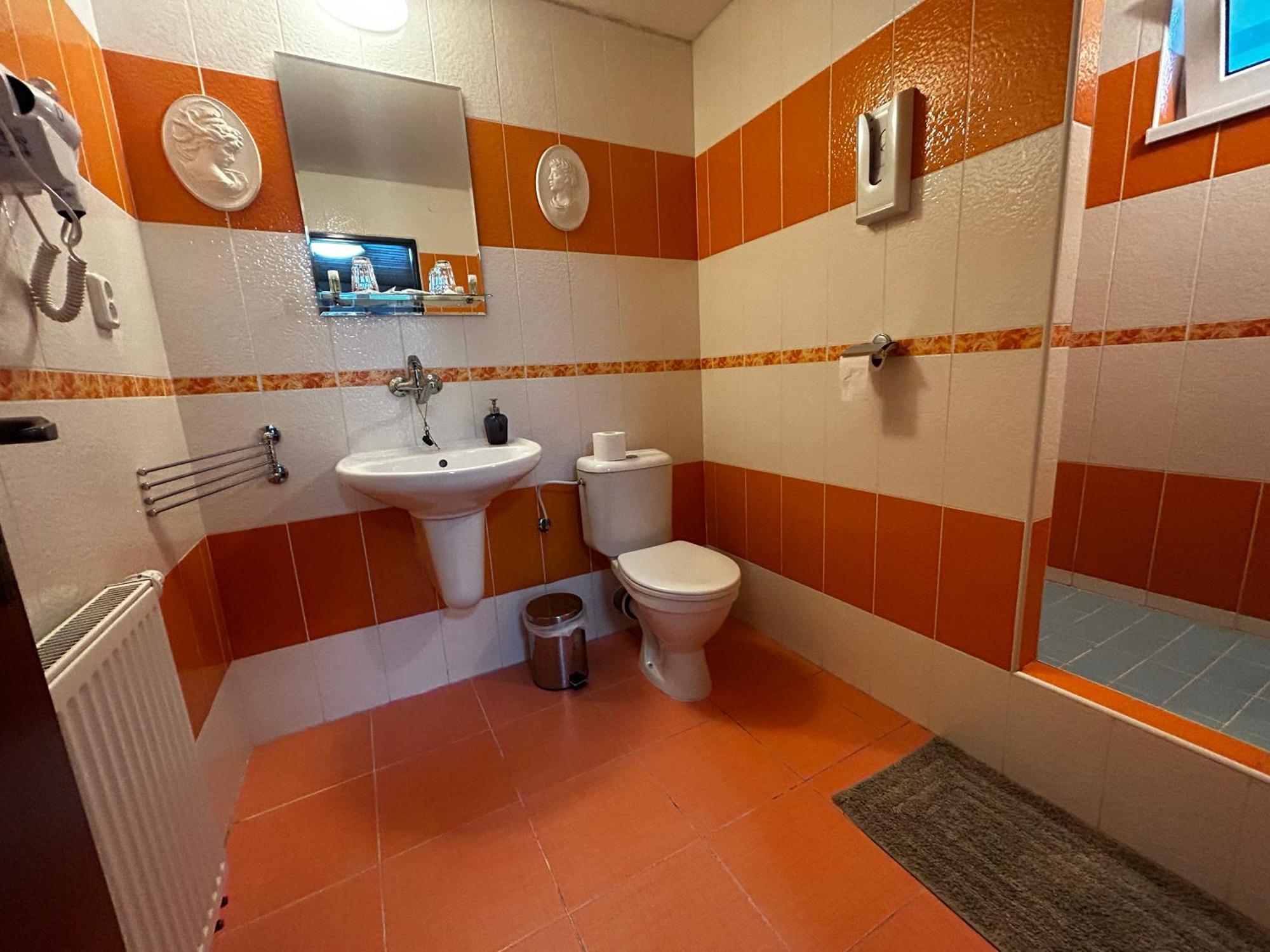 Penzion Rozalia Hotel Košice Buitenkant foto
